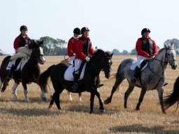 551681_10151090366783585_83271082_n